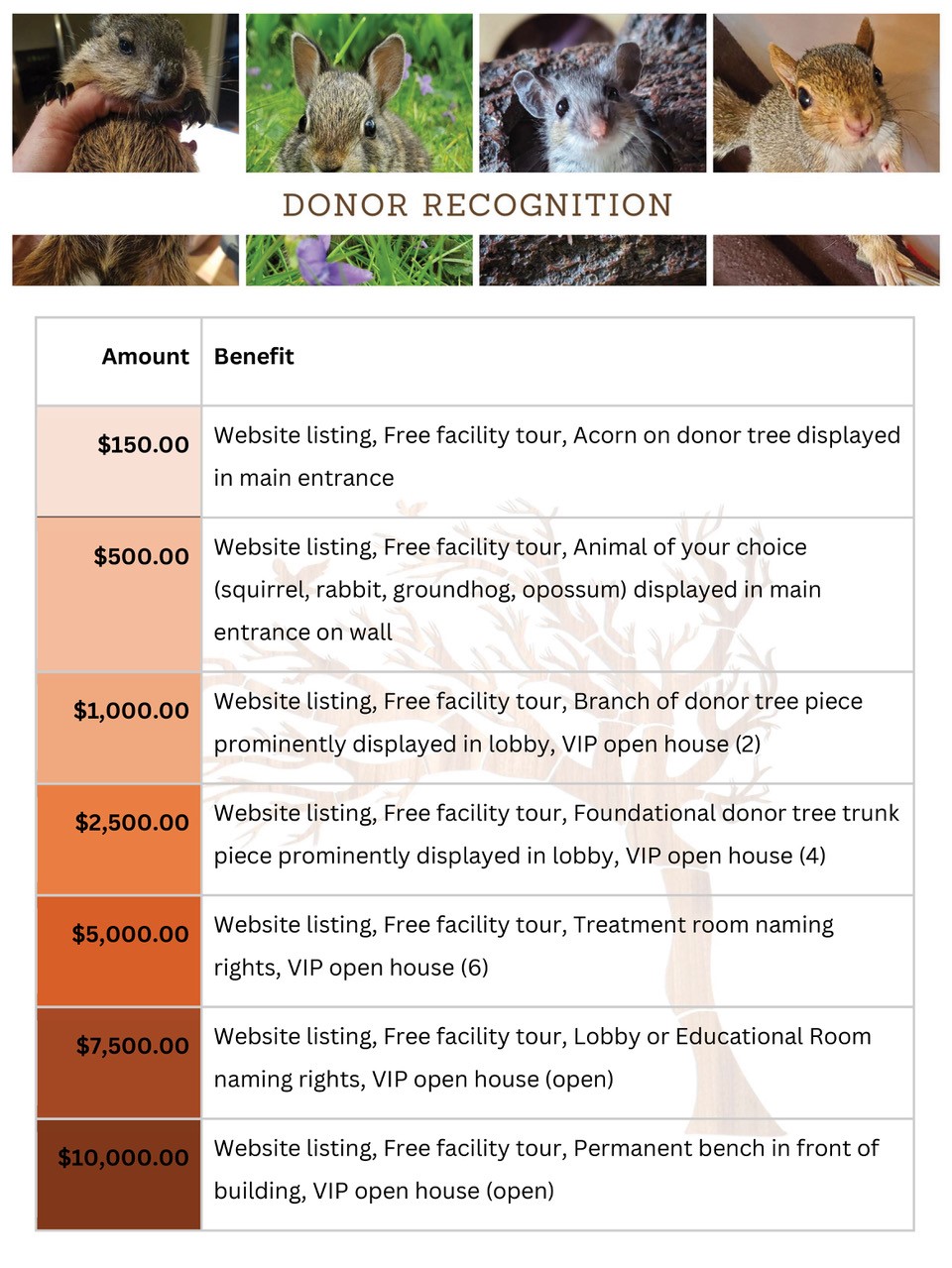 Donor Recognition Image